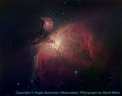 AAO Image of the Orion Nebula