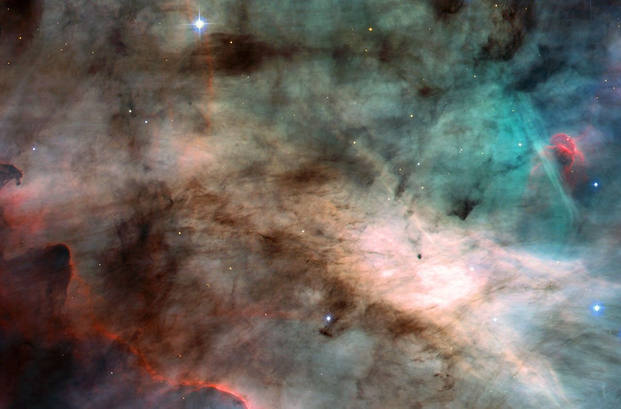 The Omega Nebula: Hotbed of Star Formation