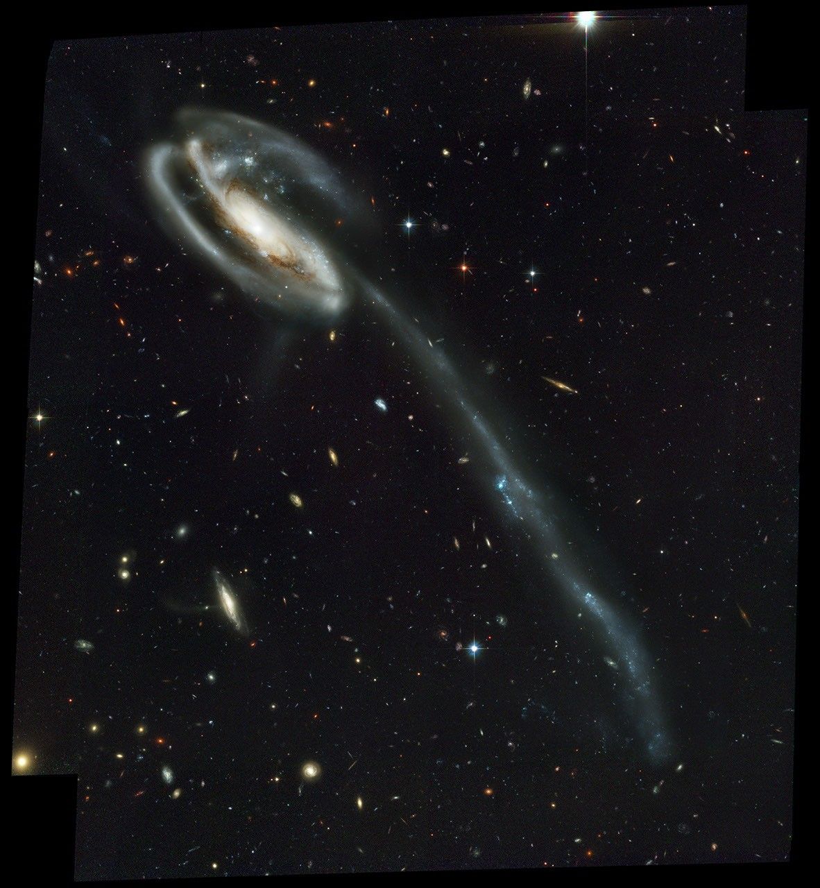 Spiral galaxy with a long tail-like structure.