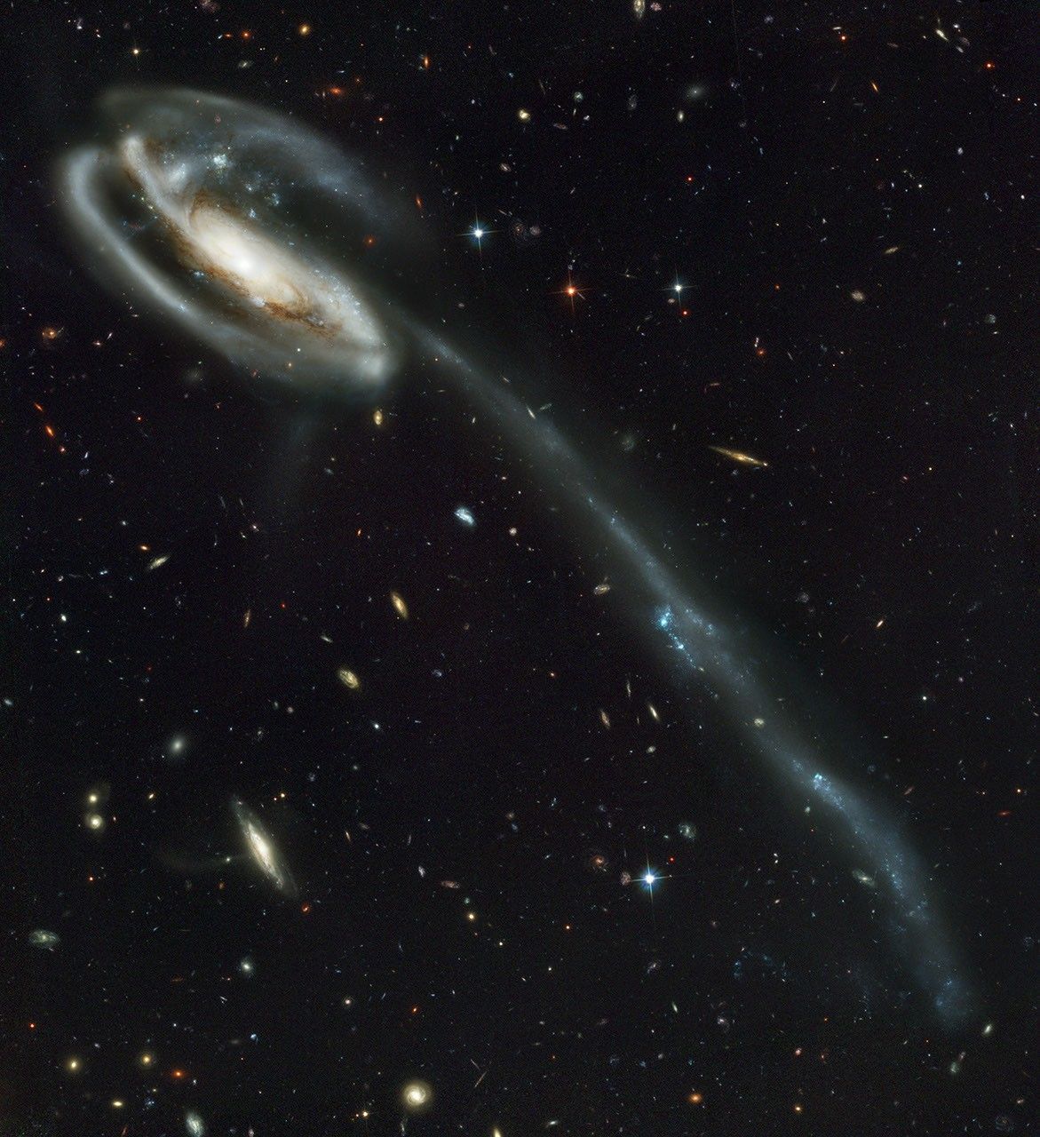 Spiral galaxy with a long tail-like structure.