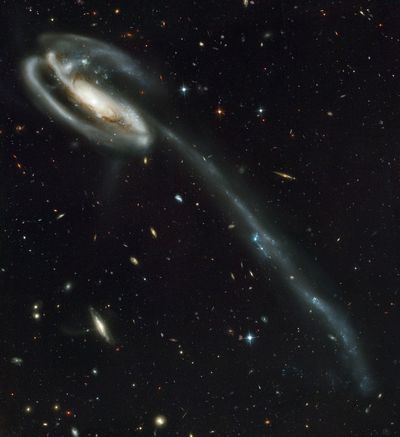 The Tadpole Galaxy: Distorted Victim of Cosmic Collision
