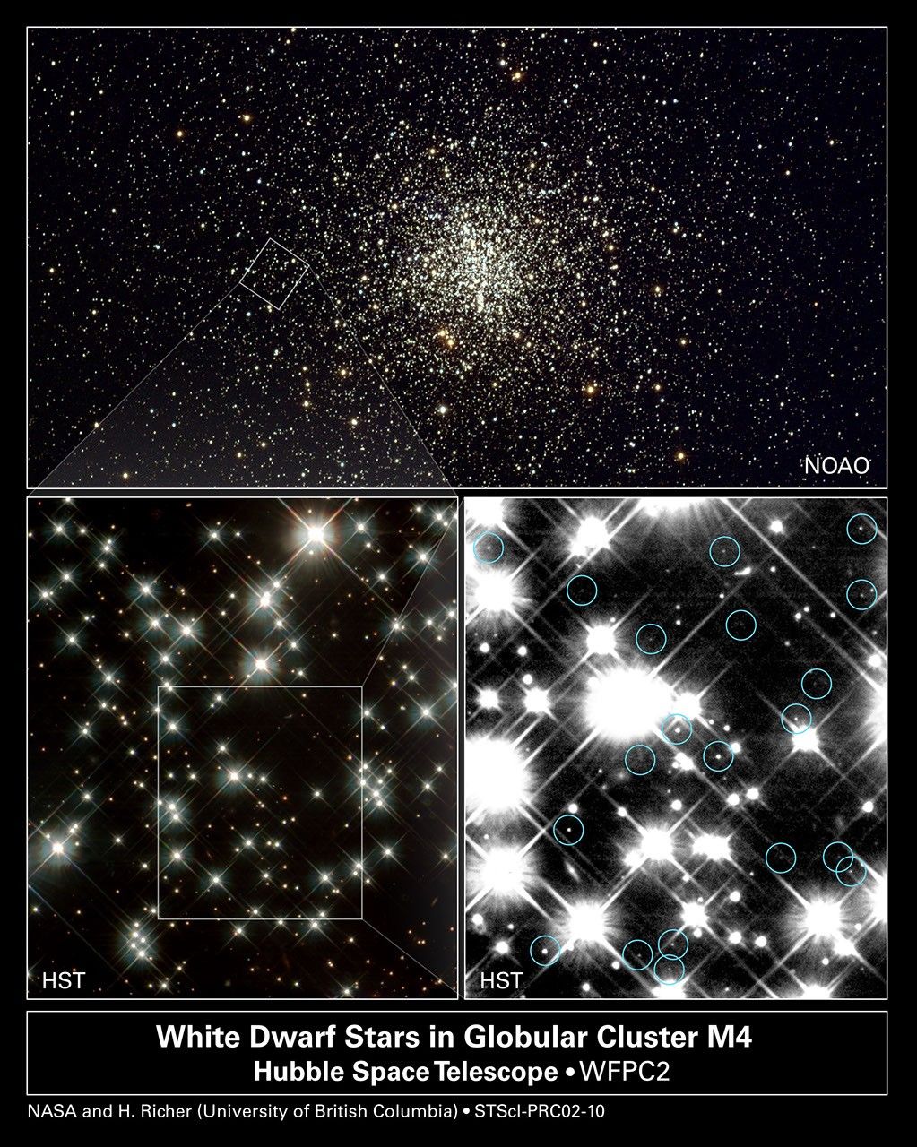 Hubble Pinpoints White Dwarfs in Globular Cluster