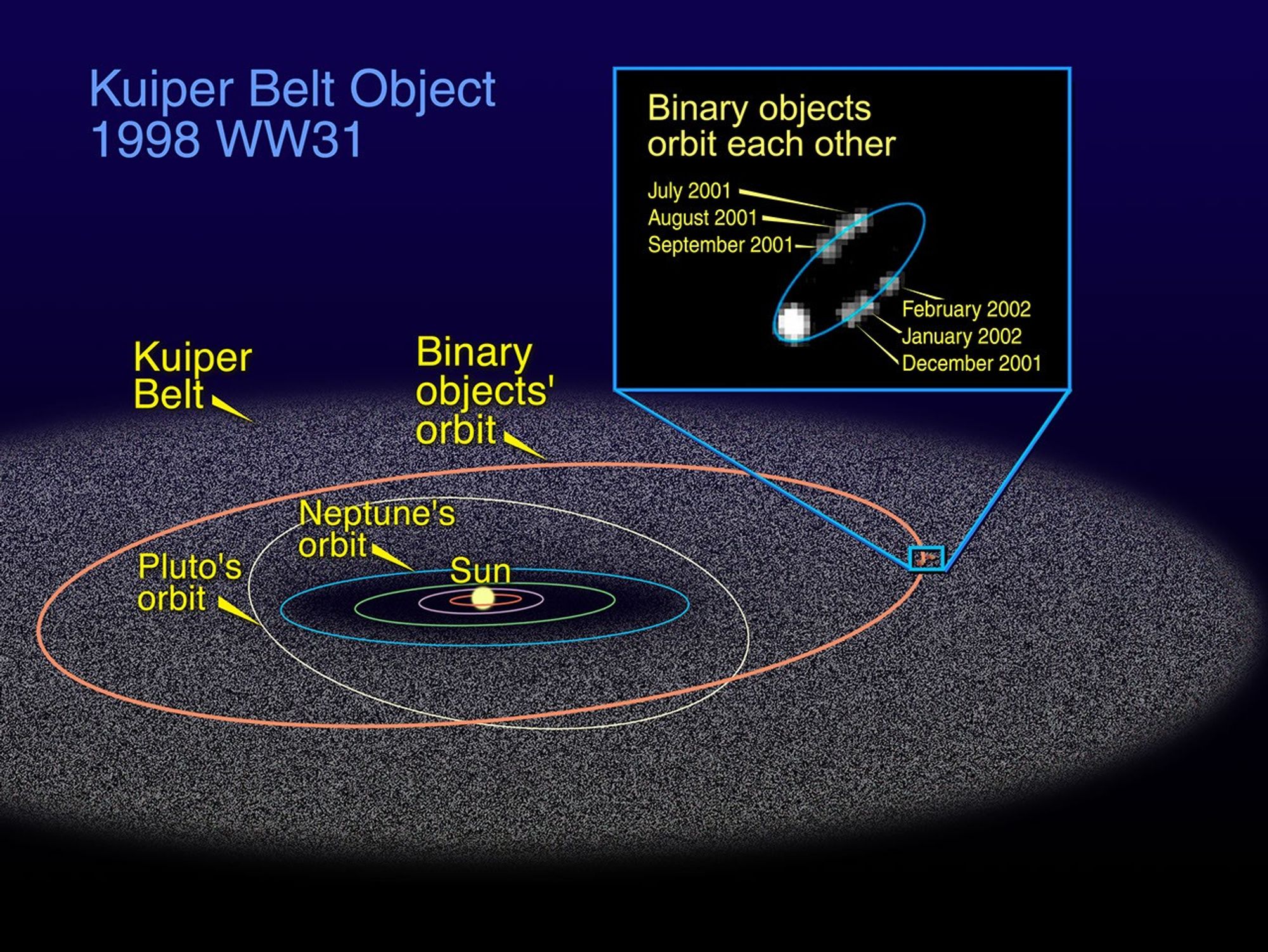 The Orbit of 1998 WW31 in the Kuiper Belt