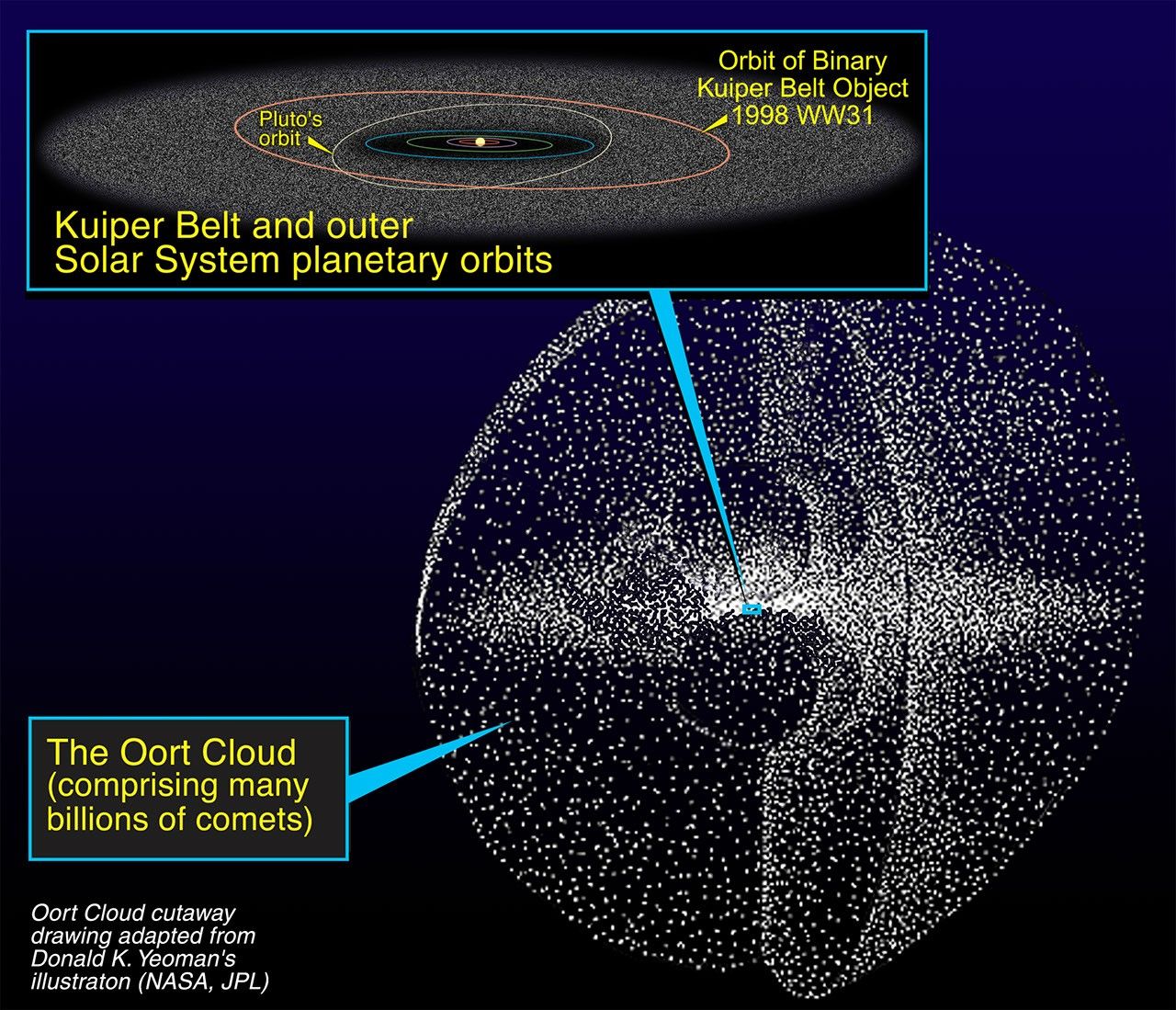 Relationship of the Kuiper Belt to the Oort Cloud