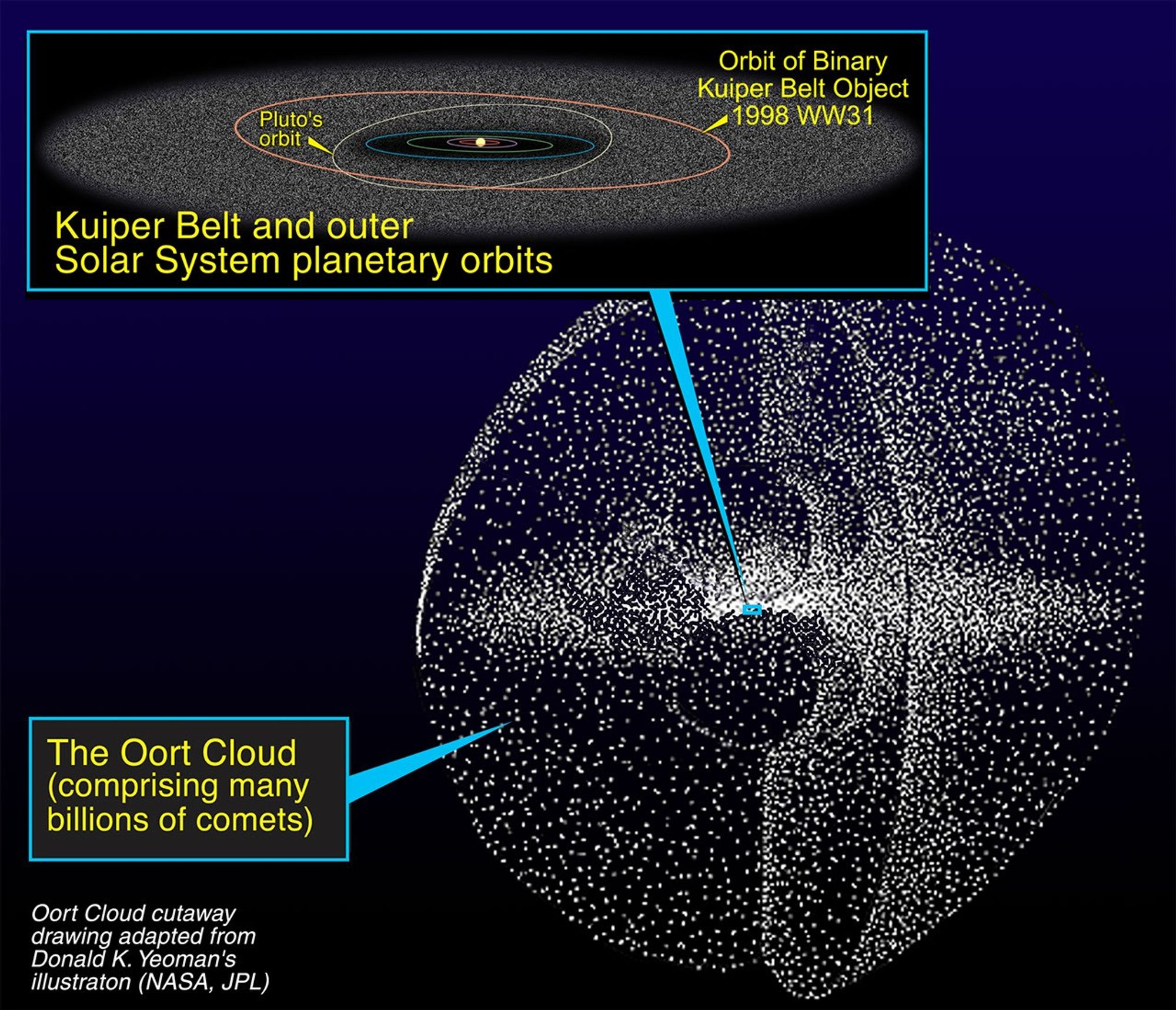 Relationship of the Kuiper Belt to the Oort Cloud