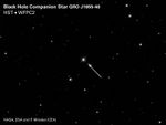 Black Hole Companion Star GRO J1655-40