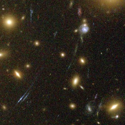 Galaxies Magnified by Galaxy Cluster Abell 1689’s “Gravitational Lens”