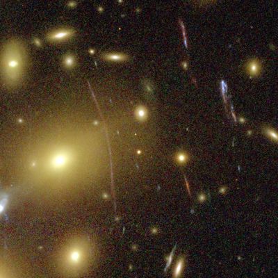 Galaxies Magnified by Galaxy Cluster Abell 1689’s “Gravitational Lens”