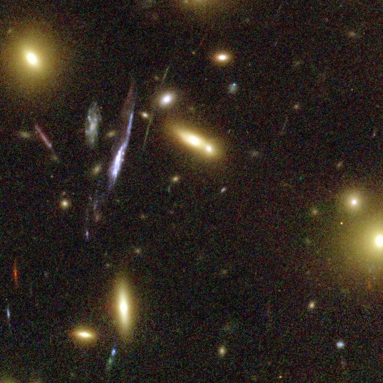 Galaxies Magnified by Galaxy Cluster Abell 1689's "Gravitational Lens"