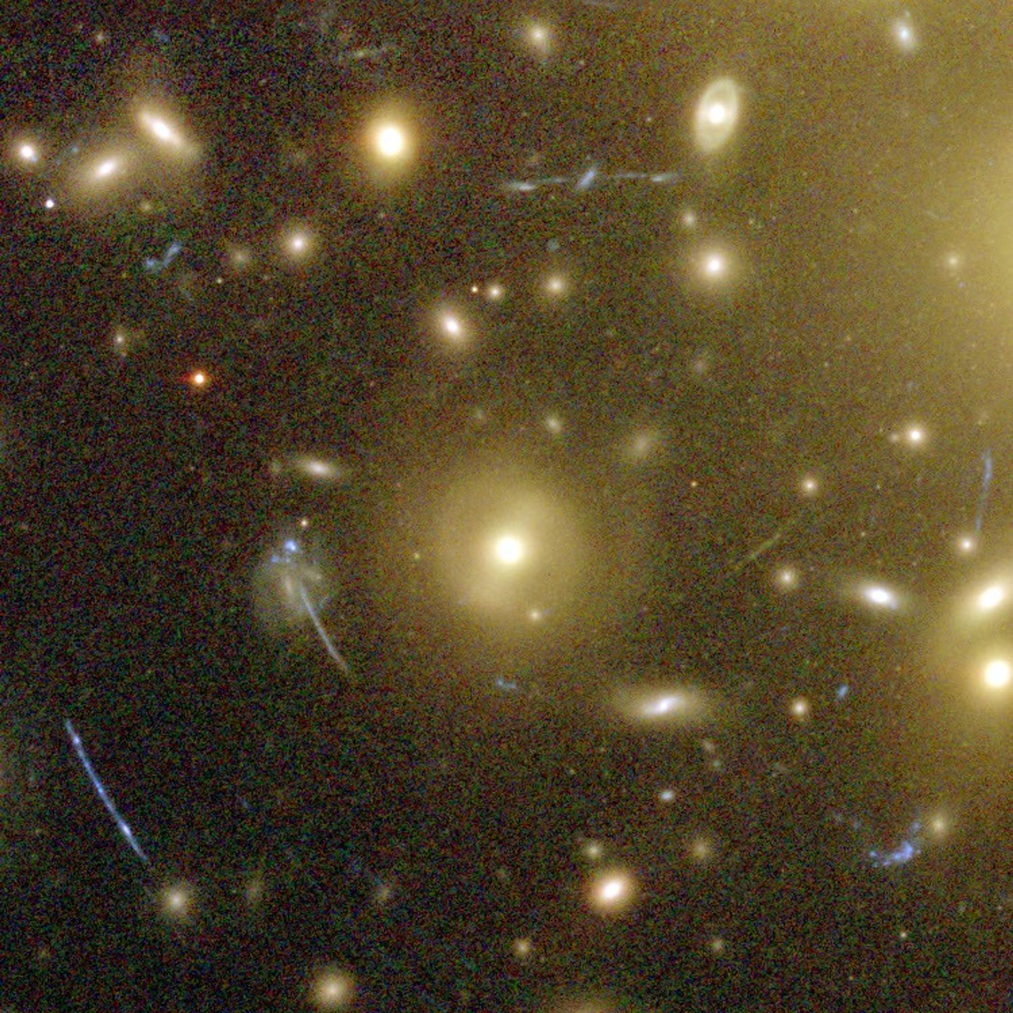 Galaxies Magnified by Galaxy Cluster Abell 1689's "Gravitational Lens"
