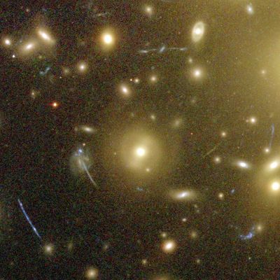 Galaxies Magnified by Galaxy Cluster Abell 1689’s “Gravitational Lens”