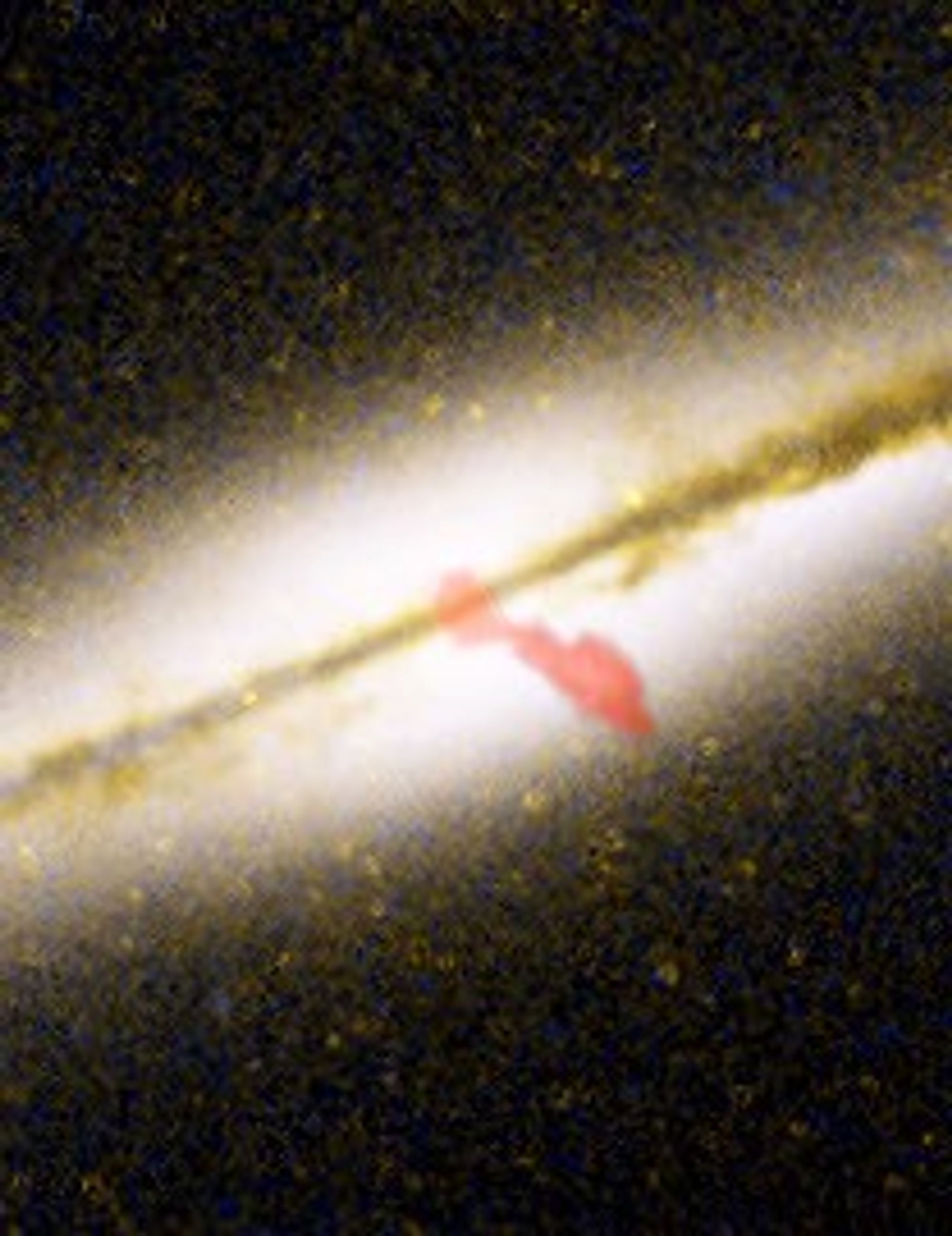 Close-up of 0313-192