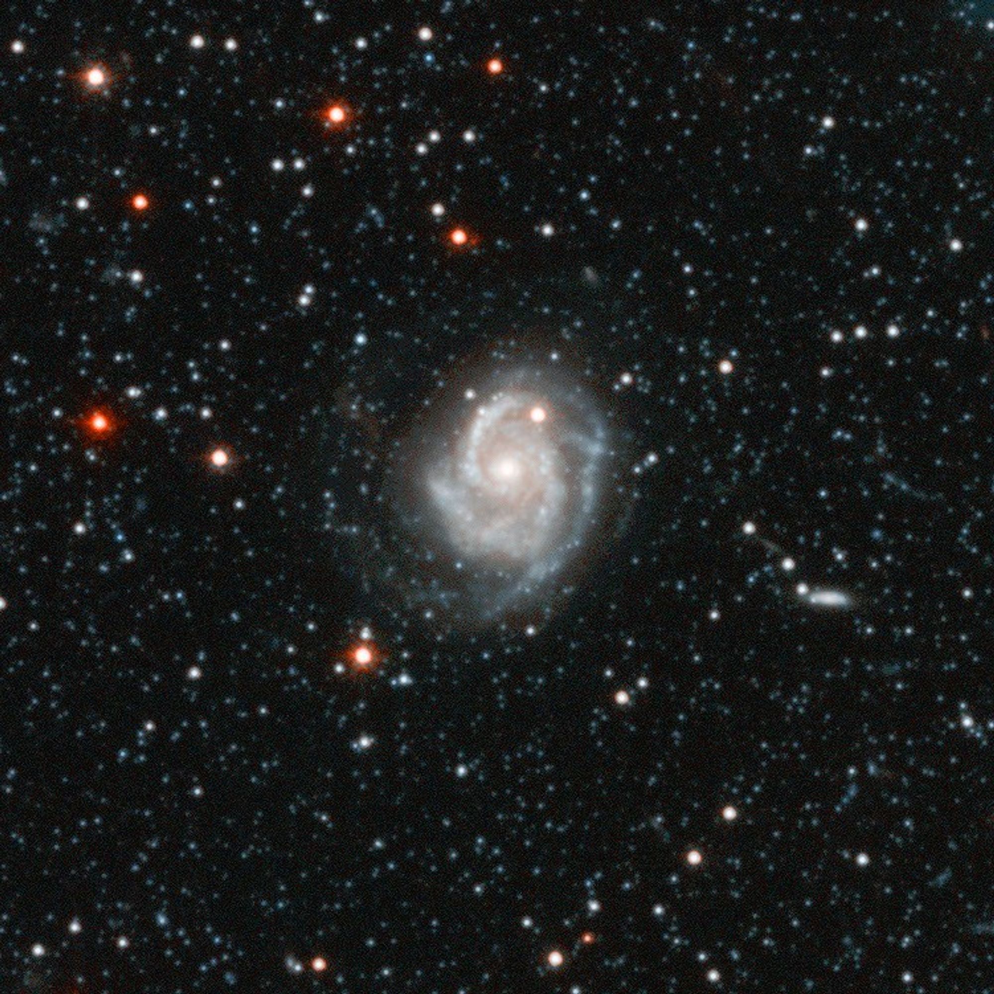 Postcards from Andromeda: Andromeda Galaxy Halo Details