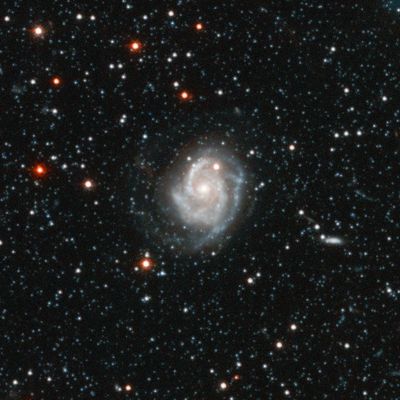 Postcards from Andromeda: Andromeda Galaxy Halo Details