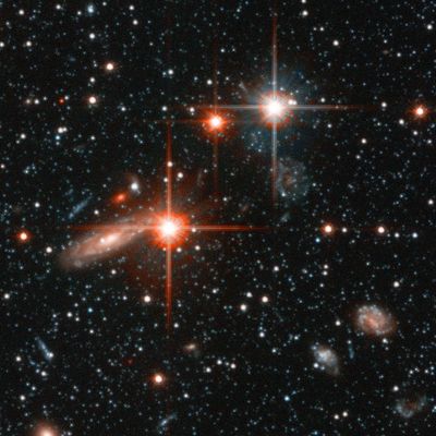 Postcards from Andromeda: Andromeda Galaxy Halo Details