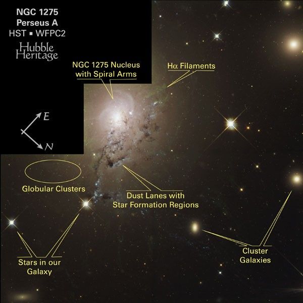 NGC 1275 – Labeled Features