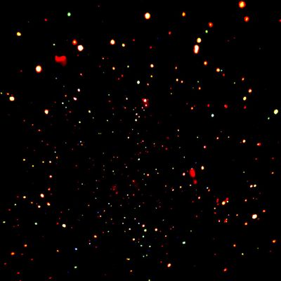 Chandra Deep Field-North
