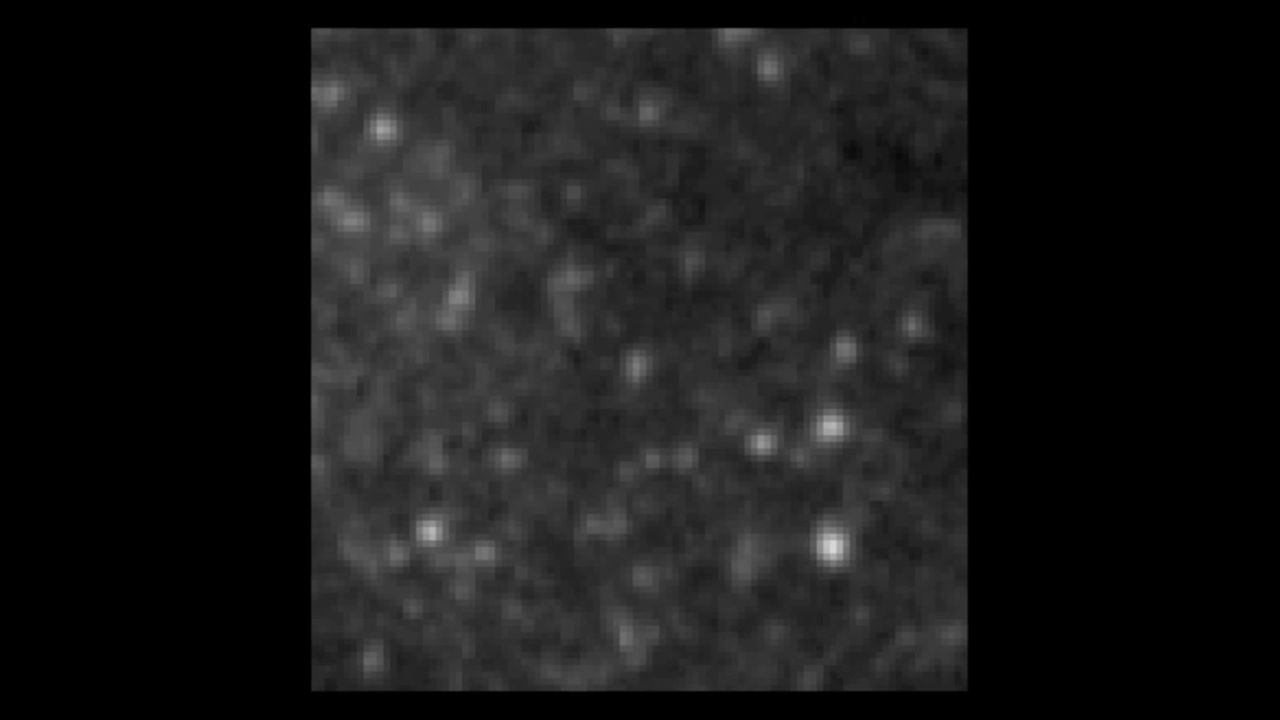Cepheid Variable in NGC 3370