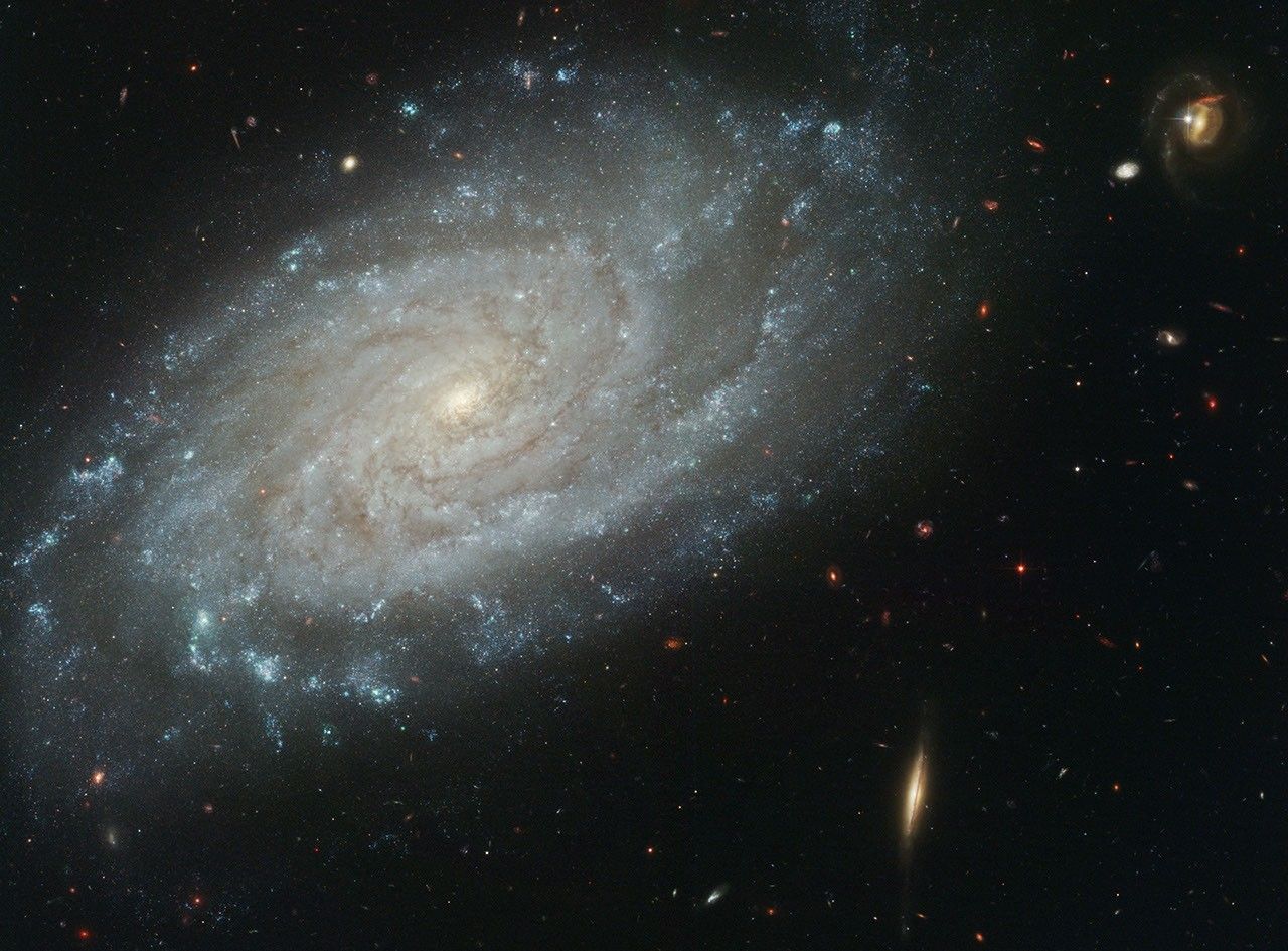 Spiral Galaxy NGC 3370, Home to Supernova Seen in 1994