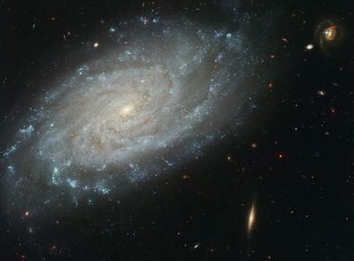 Spiral Galaxy NGC 3370, Home to Supernova Seen in 1994
