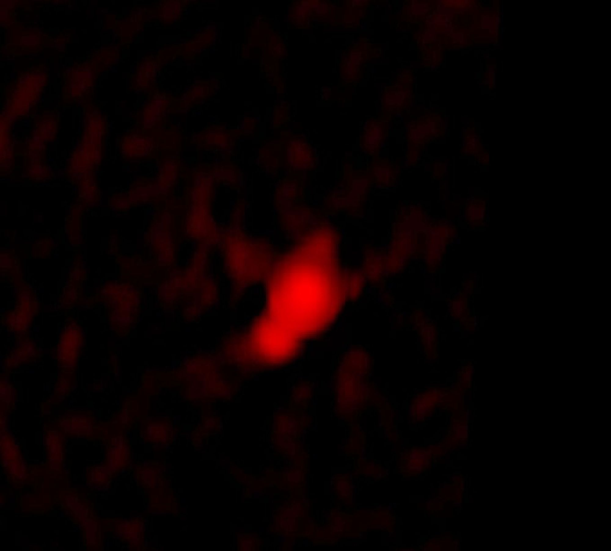 Galaxy C153 in Cluster Abell 2125 in Radio (VLA)