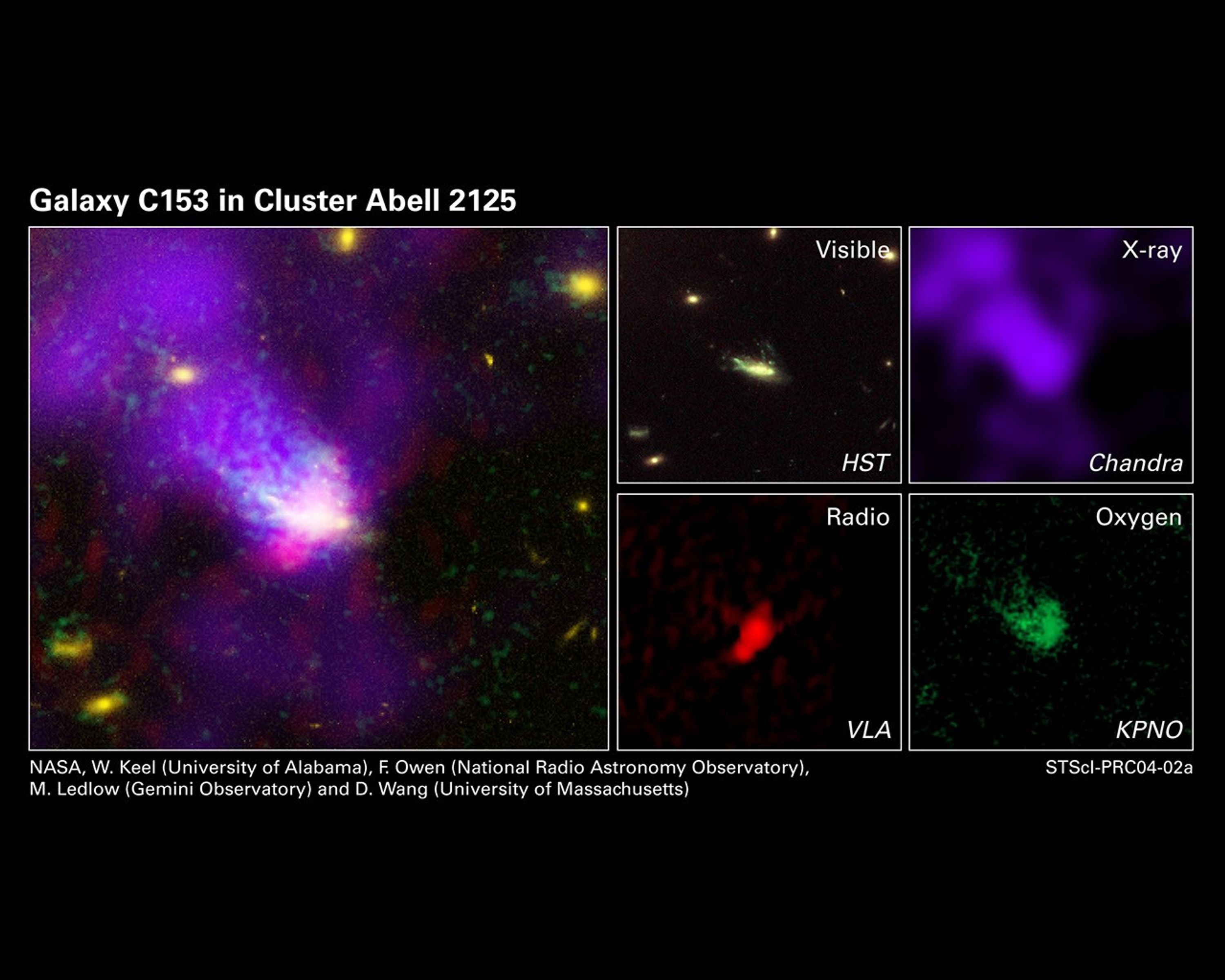 A composite photograph of Galaxy C153 in Cluster Abell 2125 on the left created by combining four images on the  right taken in X-ray, radio, and visible wavelengths.