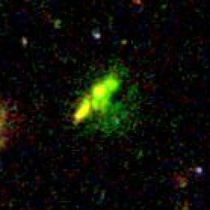 Baby Galaxy in Cluster TN J1338-1942