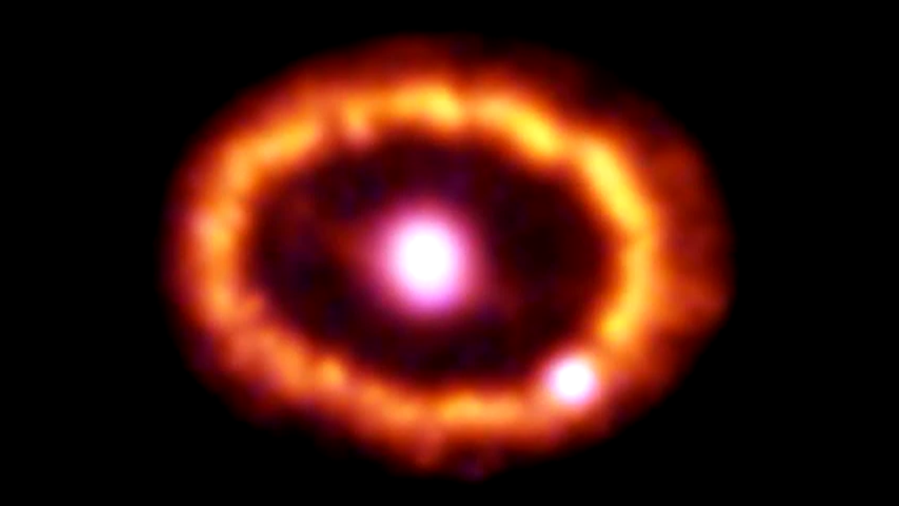 Supernova 1987A