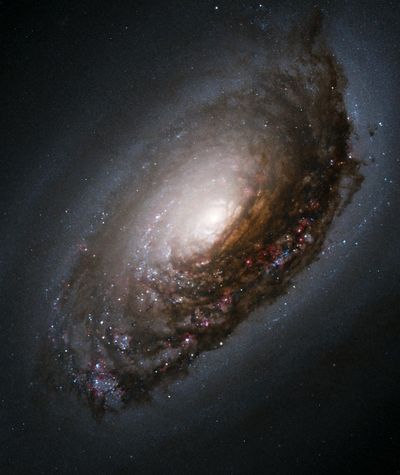 Dust Band Around the Nucleus of “Black Eye Galaxy” M64