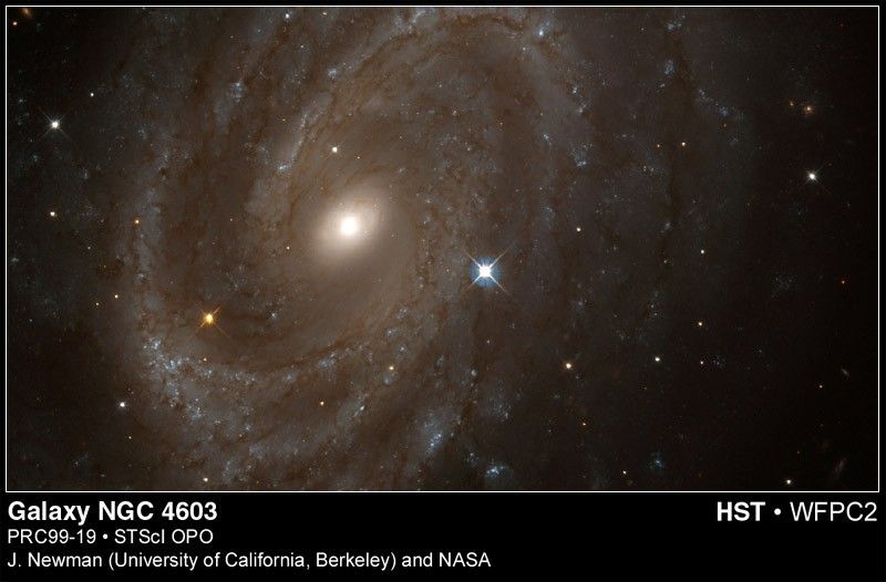 Hubble Finds Variable Stars in Distant Spiral Galaxy