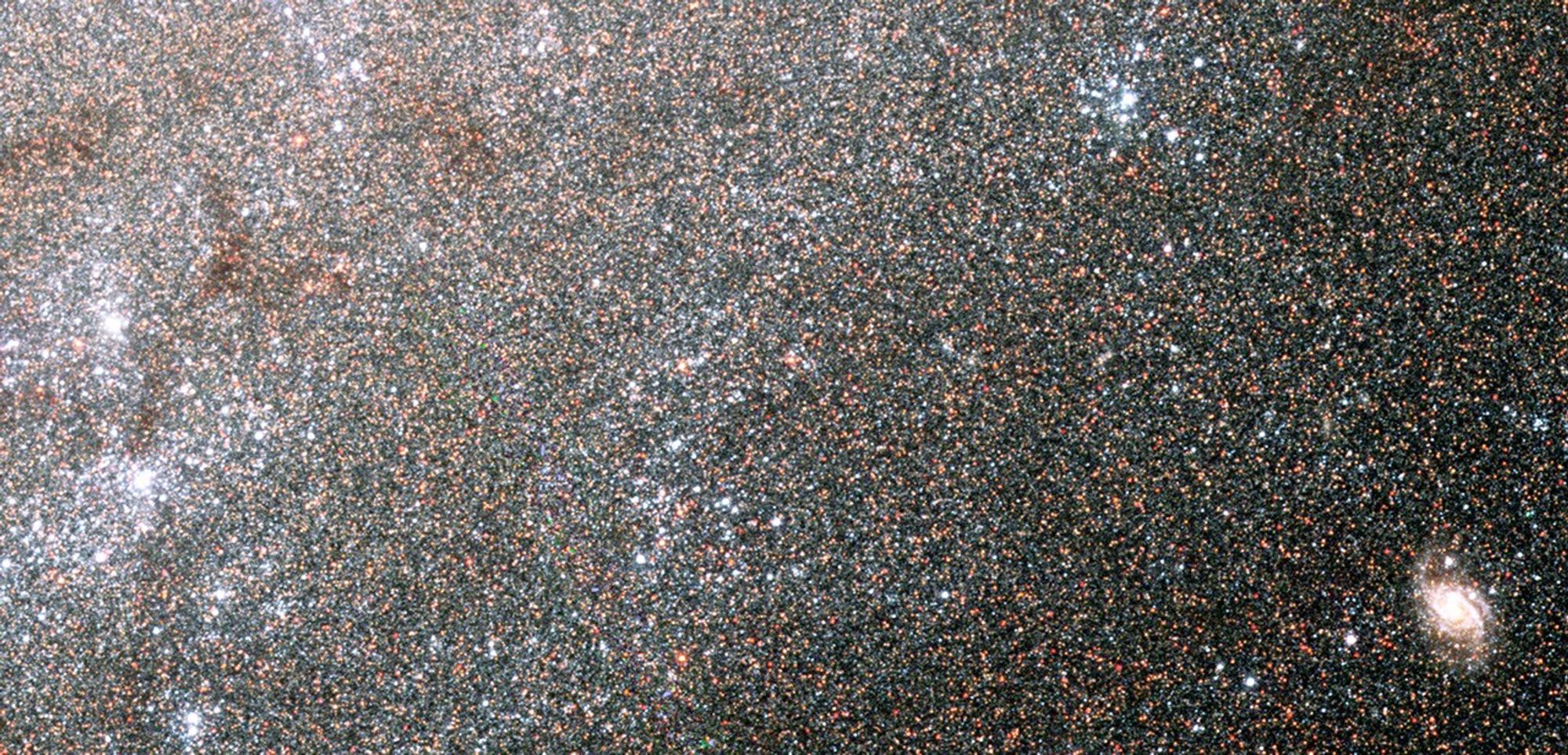 Stars in Spiral Galaxy NGC 300 – Detail