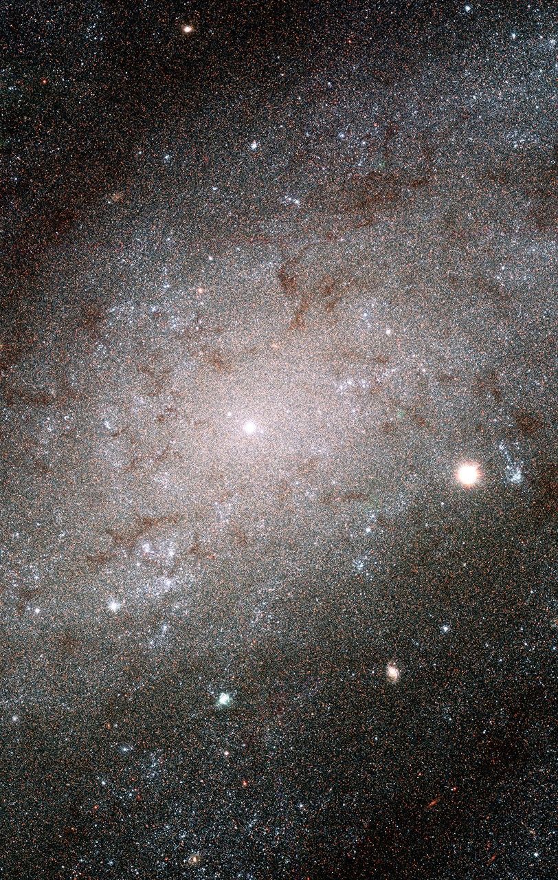 Myriad of Stars in Spiral Galaxy NGC 300 – Central Detail