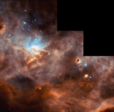 N11, the Second-Largest Star Formation Region in the Large Magellanic Cloud