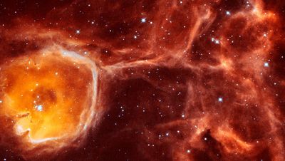 Hubble Peers Inside Interstellar Bubble N44F