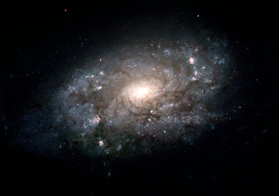 Spiral Galaxy NGC 3949: A Galaxy Similar to the Milky Way