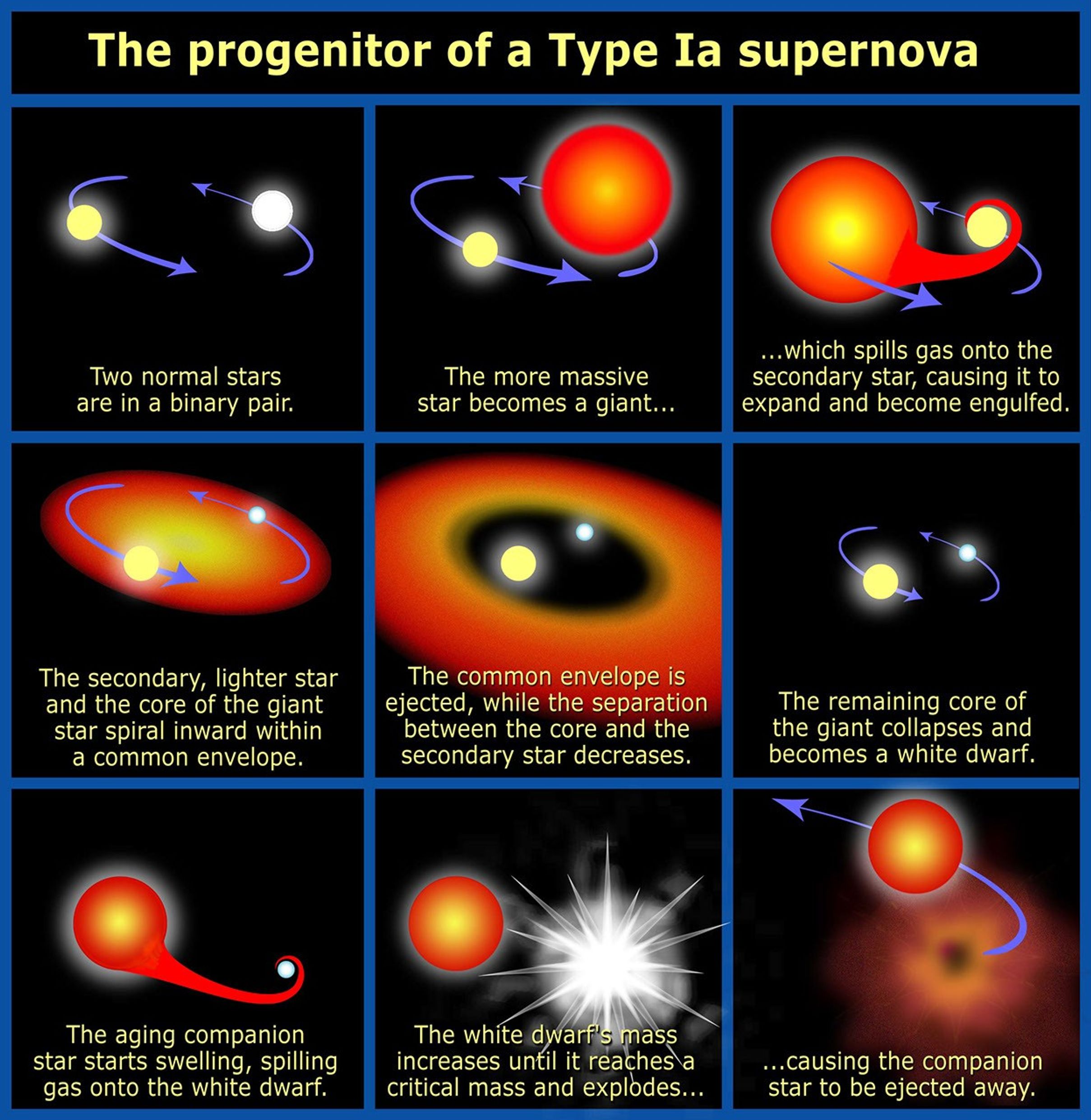 The Progenitor of a Type Ia Supernova