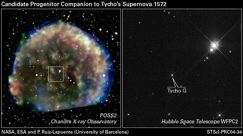Hubble Views Suspected Stellar Survivor from 1572 A.D. Supernova Explosion