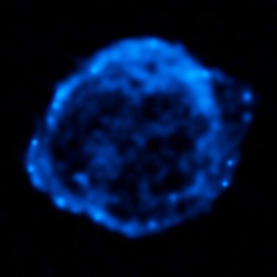 Chandra X-ray Observatory Data of Kepler’s Supernova Remnant
