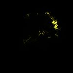 Kepler's Supernova Remnant in Visible Light