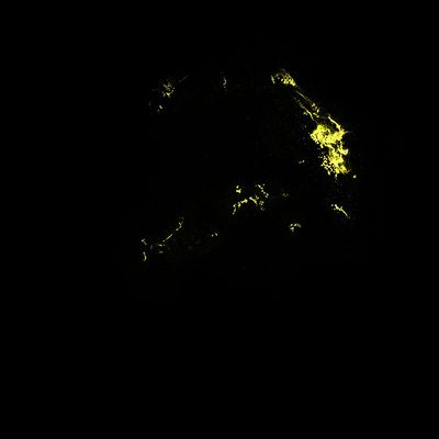 Kepler’s Supernova Remnant in Visible Light