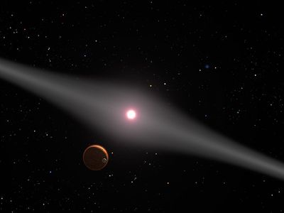 The View from Within AU Microscopii’s Disk