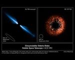 Debris Disks Around Sun-Like Stars AU Microscopii and HD 107146