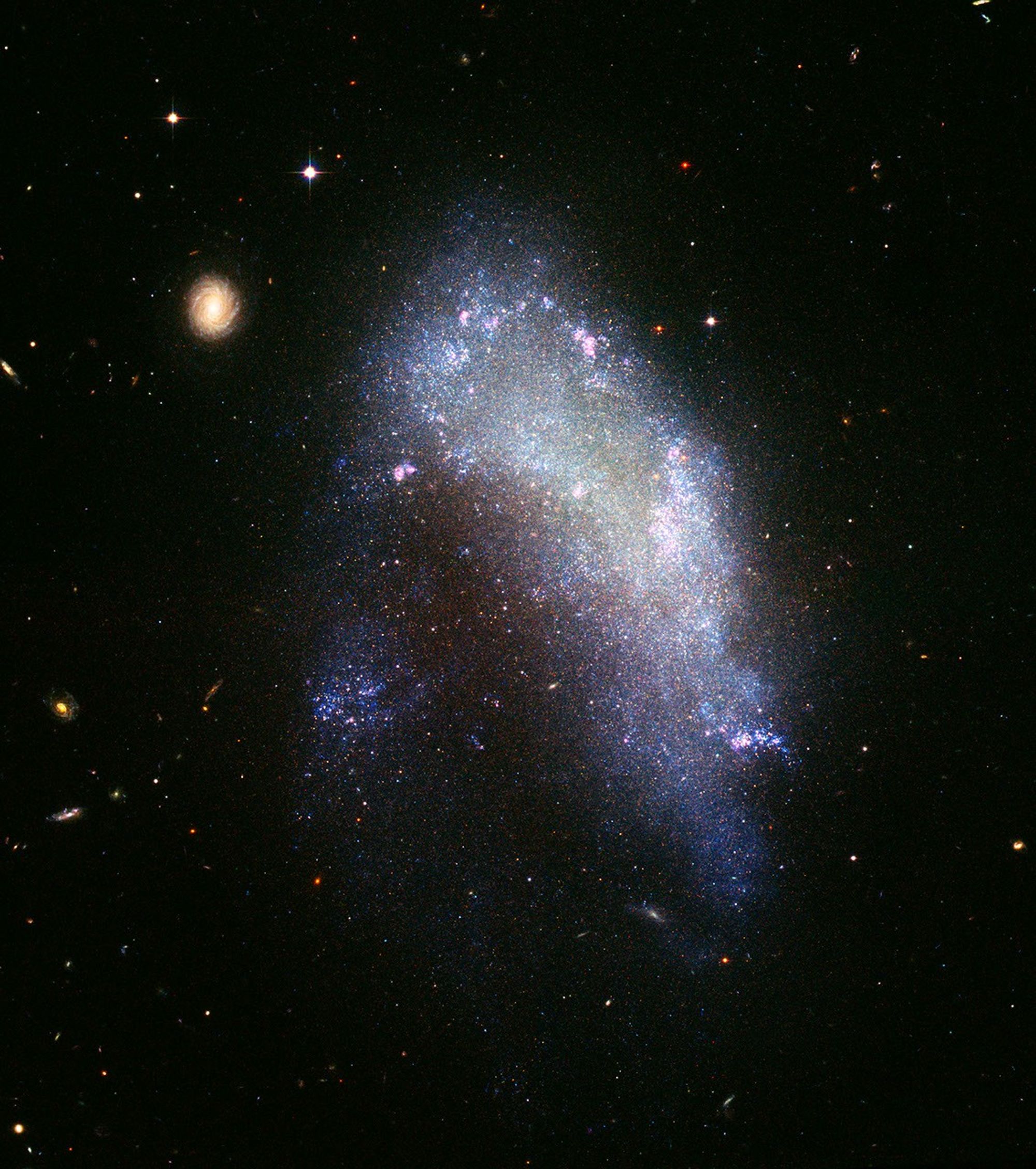 Galaxy NGC 1427A Plunges Toward the Fornax Galaxy Cluster