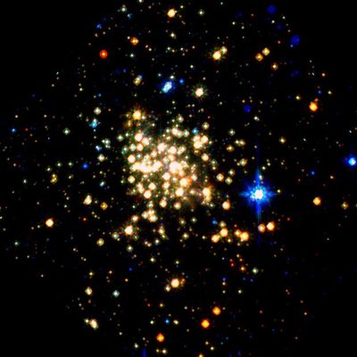 The Milky Way’s Densest Star Cluster: The Arches Cluster