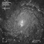 M51 Nucleus in the Light of Hydrogen