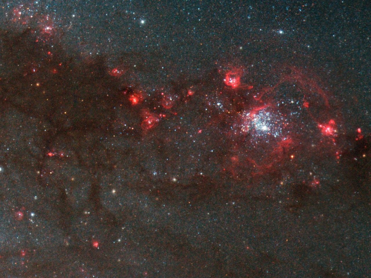 Bubbles of red and black material stretch across the image.