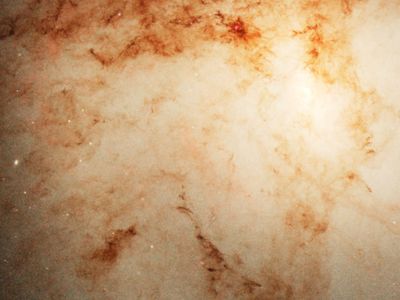 Whirlpool Galaxy’s (M51) Companion Nucleus and Dust Lanes