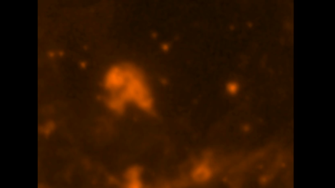 Supernova Remnant Menagerie