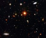 A Zoo of Galaxies