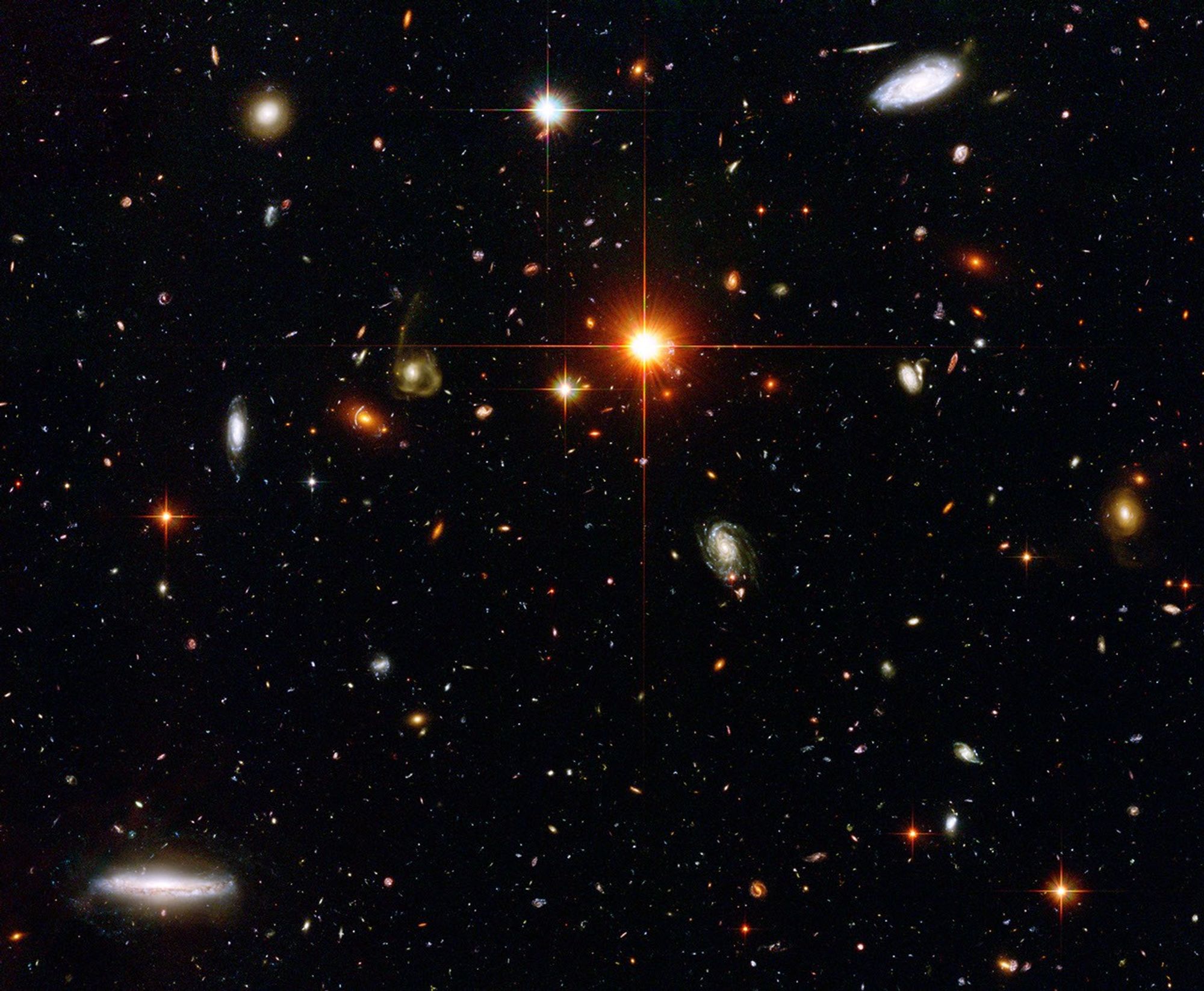A Zoo of Galaxies